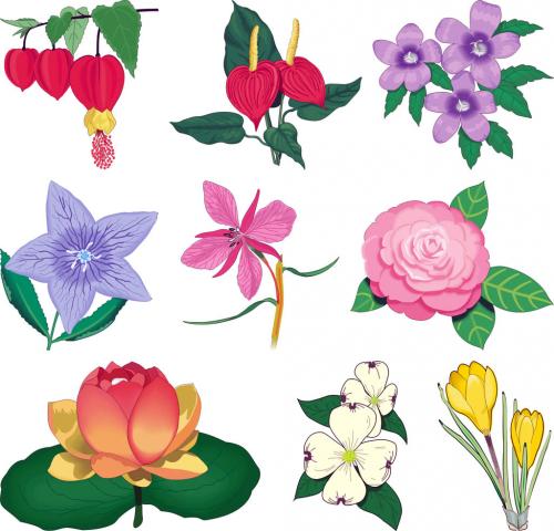 Рисунок в комнате на стене. Некоторые особенности росписи по штукатурке 09 Рисунок в комнате на стене. Некоторые особенности росписи по штукатурке 09