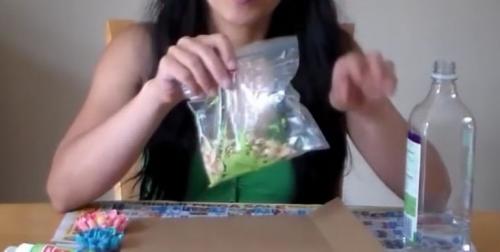 Поделка из фисташек скорлупы. Декор для дома своими руками 12 Поделка из фисташек скорлупы. Декор для дома своими руками 12