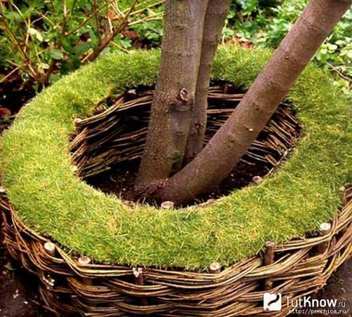 Ограждение для грядок своими руками. Заборчик из лозы для грядки своими руками