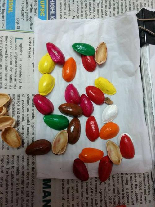 Поделка из фисташек скорлупы. Декор для дома своими руками 07 Поделка из фисташек скорлупы. Декор для дома своими руками 07