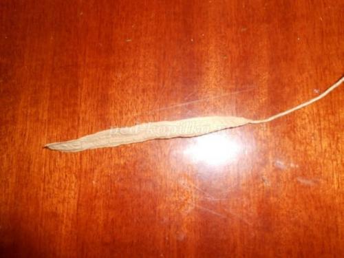 Как из пластиковой бутылки сделать вазу своими руками. Как делать вазы из пластиковых бутылок своими руками? 18 Как из пластиковой бутылки сделать вазу своими руками. Как делать вазы из пластиковых бутылок своими руками? 18