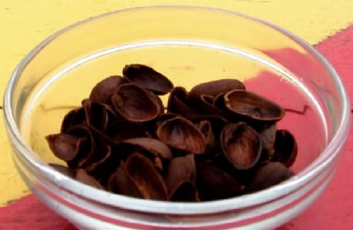 Как использовать скорлупу от фисташек. Настойка на фисташках (скорлупе)