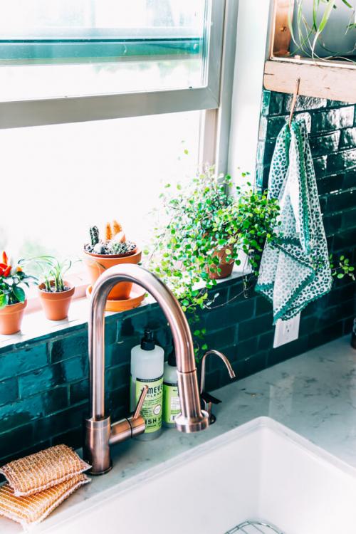 Какие цветы поставить в зале. Выбираем комнатные цветы для кухни, спальни и гостиной