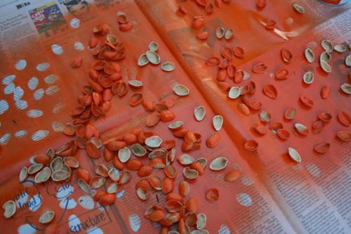 Поделка из фисташек скорлупы. Декор для дома своими руками 06 Поделка из фисташек скорлупы. Декор для дома своими руками 06