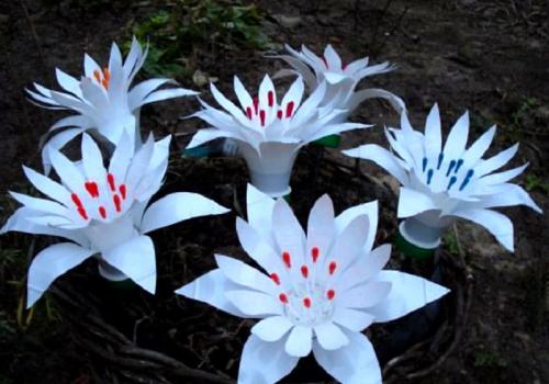 Цветы из пластиковых бутылок для сада. 7 способов научиться делать цветы из пластиковых бутылок своими руками