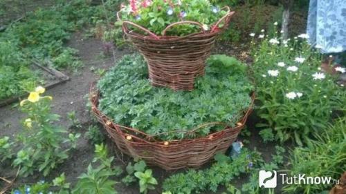 Ограждение для грядок своими руками. Заборчик из лозы для грядки своими руками