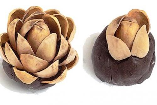 Поделки из фисташковой скорлупы. Поделки из фисташек – 7 простых идей 03 Поделки из фисташковой скорлупы. Поделки из фисташек – 7 простых идей 03