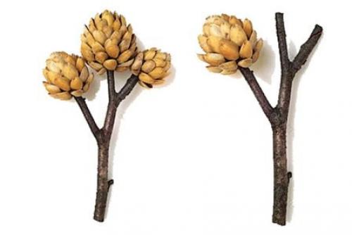 Поделки из фисташковой скорлупы. Поделки из фисташек – 7 простых идей 04 Поделки из фисташковой скорлупы. Поделки из фисташек – 7 простых идей 04