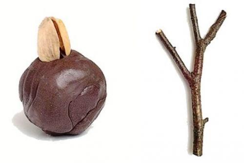 Поделки из фисташковой скорлупы. Поделки из фисташек – 7 простых идей 02 Поделки из фисташковой скорлупы. Поделки из фисташек – 7 простых идей 02