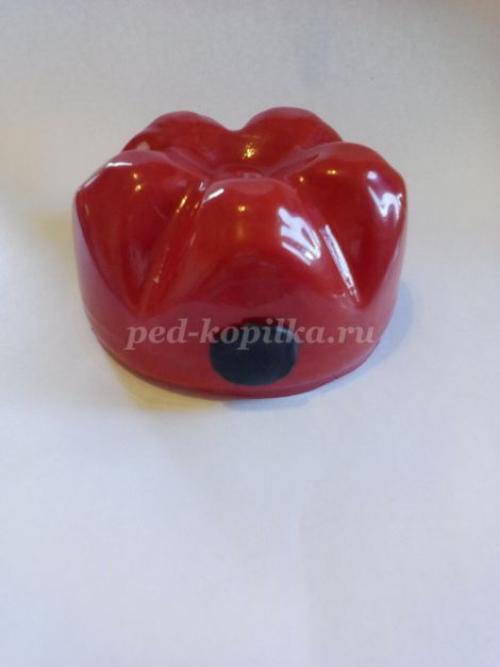 Божьи коровки из бутылок пластиковых. Божьи коровки из пластиковых бутылок своими руками пошагово с фото для начинающих 05 Божьи коровки из бутылок пластиковых. Божьи коровки из пластиковых бутылок своими руками пошагово с фото для начинающих 05