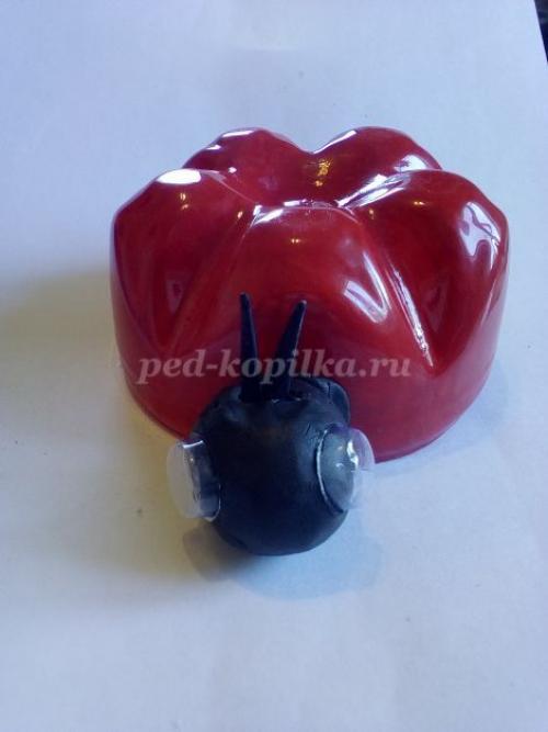 Божьи коровки из бутылок пластиковых. Божьи коровки из пластиковых бутылок своими руками пошагово с фото для начинающих 08 Божьи коровки из бутылок пластиковых. Божьи коровки из пластиковых бутылок своими руками пошагово с фото для начинающих 08