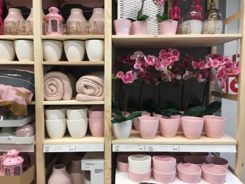 Есть идея есть Икеа. Интересное в Икеа