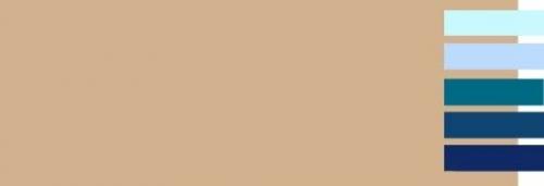 Бежевый цвет стен в интерьере. С какими цветами сочетается бежевый?