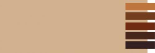 Бежевый цвет стен в интерьере. С какими цветами сочетается бежевый?