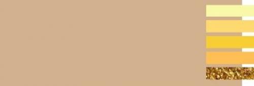 Бежевый цвет стен в интерьере. С какими цветами сочетается бежевый?