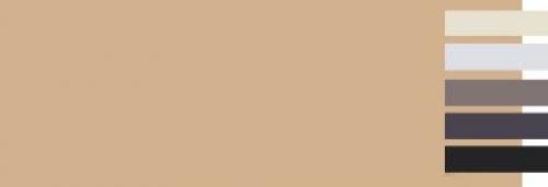 Бежевый цвет стен в интерьере. С какими цветами сочетается бежевый?