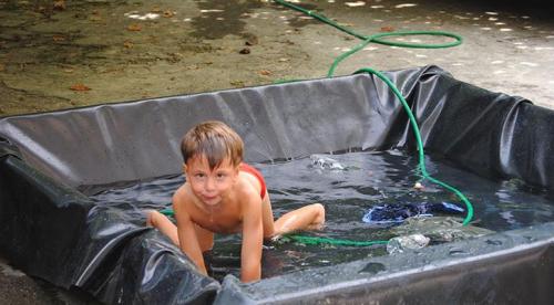 Бассейн во дворе своими руками. Какие есть виды бассейнов? 13