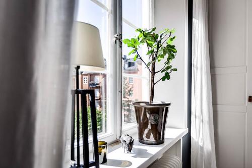 Когда цвет меняет все (54 кв. м) 08