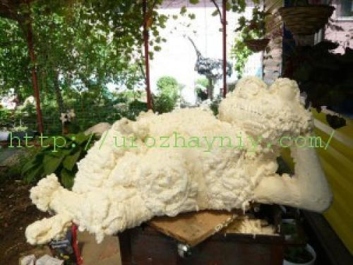 Лягушка для дачи своими руками. Садовая фигура лягушка своими руками. Мастер-класс Надежды Гулак.