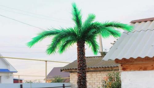 Пальма из пластиковых бутылок. Как сделать пальму из пластиковых бутылок пошагово: с фото