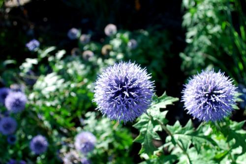 Как сделать сад красивым. Как создать сад своими руками без лишних трат? 08 Как сделать сад красивым. Как создать сад своими руками без лишних трат? 08