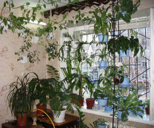 Сильно потеют пластиковые окна. Почему потеют пластиковые окна в квартире?