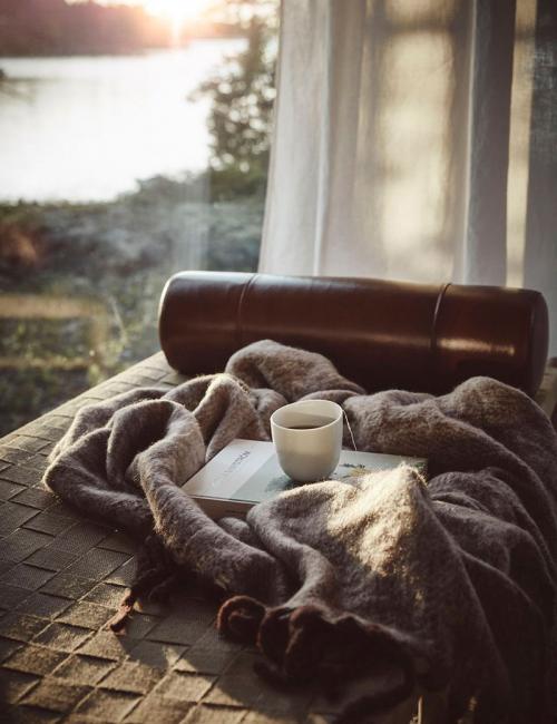 Дом в Швеции: уютная атмосфера с видом на озеро 02