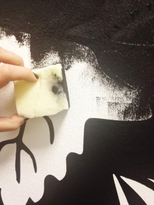 Цветы на стене рисунки. Некоторые особенности росписи по штукатурке