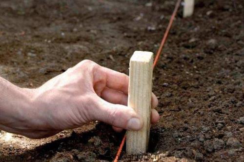 Сетка рабица забор. Как возвести натяжную ограду