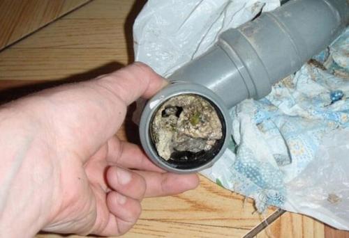 Запах из канализации на кухне, как устранить. Что предпринять, если сифон был установлен неправильно? 01