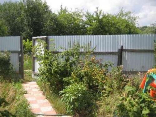 Надворные постройки баня погреб и летняя кухня под одной крышей. Выбор проекта постройки