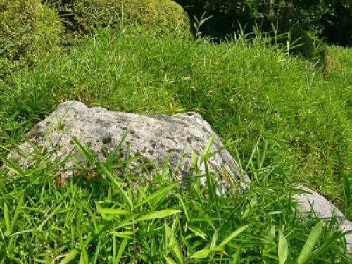 Имитация камня из бетона. Как сделать искусственные камни и валуны