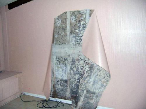 Как поменять обои на гипсокартоне. Как отодрать обои от гипсокартона, не повредив его