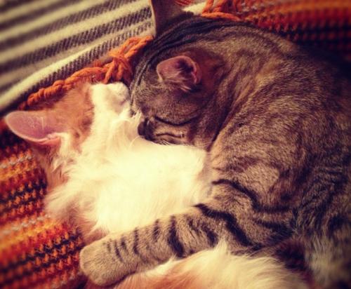 Лайфхак, как утеплить окна. 10 лайфхаков, как утеплить жилье и согреться: холод – не тетка, плед не подарит