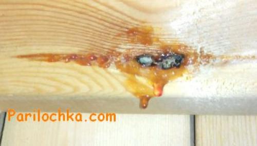 Как обшить баню вагонкой изнутри. Как правильно обшить парилку