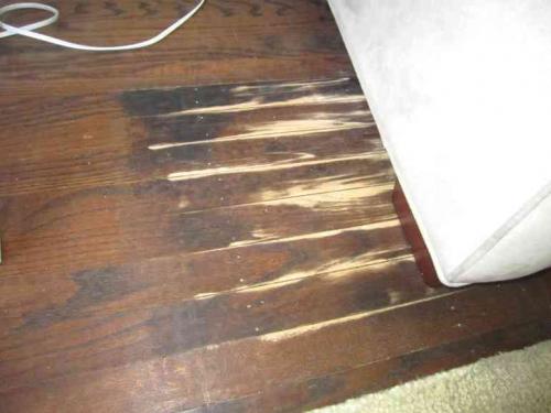 Средство по уходу за ламинатом и придания блеска 1 л. Как придать старому ламинату новый блестящий вид?