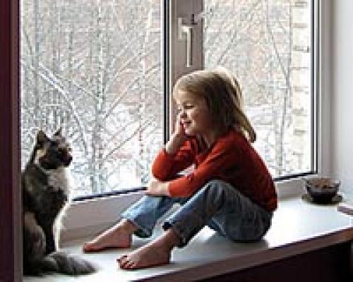 Как утеплить пвх окна. 7 доказательств того, что утепление пластиковых окон совсем несложный процесс 05