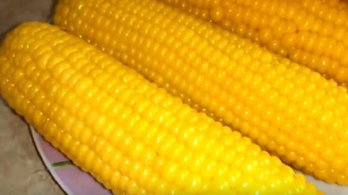 Сколько варить кукурузу бондюэль. Как правильно варить кукурузу в початках и без початков в кастрюле?