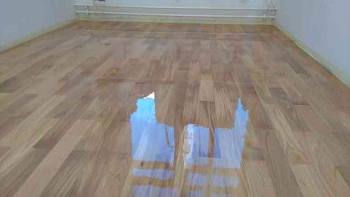 Средство по уходу за ламинатом и придания блеска 1 л. Как придать старому ламинату новый блестящий вид?