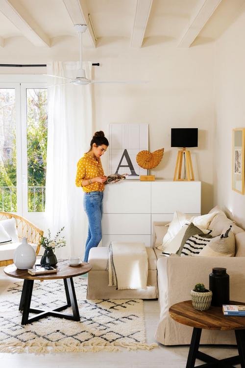 Маленькая, но функциональная квартира (50 кв. м) 01