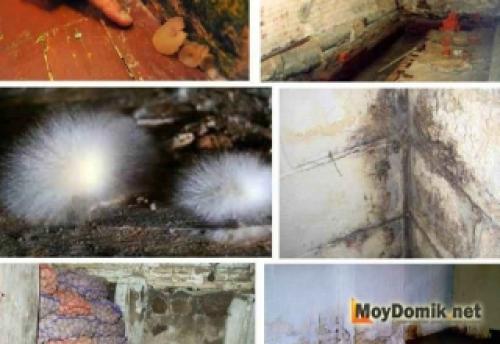 Гидроизоляция подвала изнутри жидким стеклом. Гидроизоляция подвала и погреба изнутри жидким стеклом