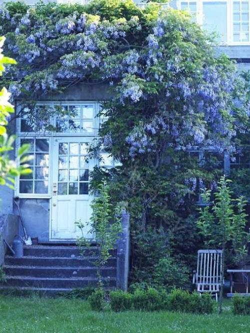 Великолепный дом с небольшим садом 12