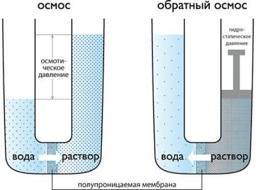 Осмос для аквариума. Тонкости очистки аквариума осмосом