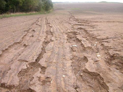 Система дренажа вокруг дома. Для чего нужен дренаж участка