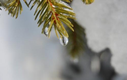 Электрический котел отопления расход. Сколько потребляет электрический котел отопления в месяц: 2 схемы расчета