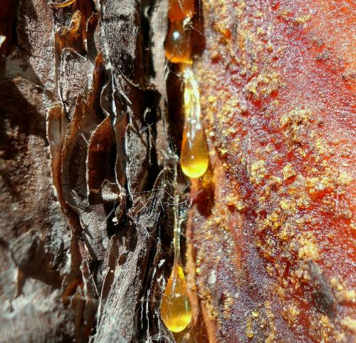 Каркас для полков в бане. Выбор материалов