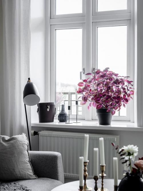 Белоснежная квартира с тёплыми акцентами 02