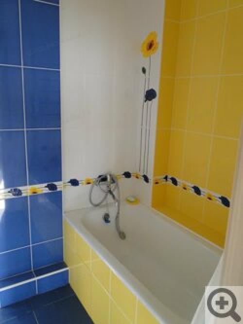 Какую ванну выбрать. Стальные ванны – более дешевая альтернатива чугунным 04 Какую ванну выбрать. Стальные ванны – более дешевая альтернатива чугунным 04