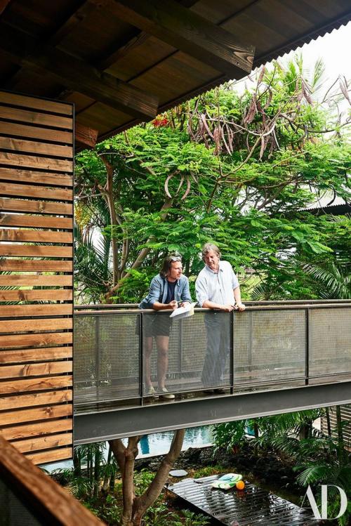 Бассейн, пальмы и мосты: удивительный дом на Гавайях 04