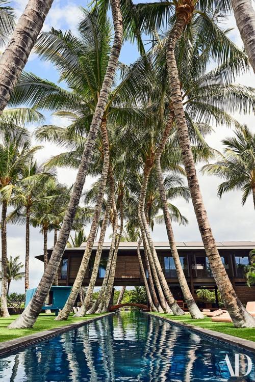 Бассейн, пальмы и мосты: удивительный дом на Гавайях 06